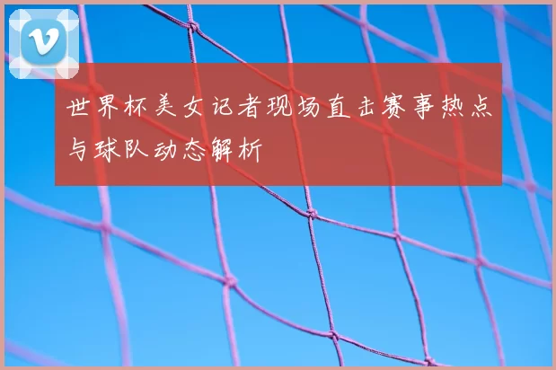 世界杯美女记者现场直击赛事热点与球队动态解析