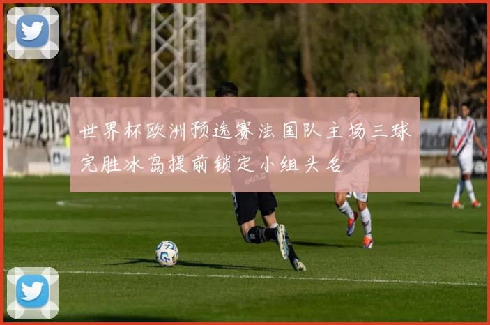 世界杯欧洲预选赛法国队主场三球完胜冰岛提前锁定小组头名