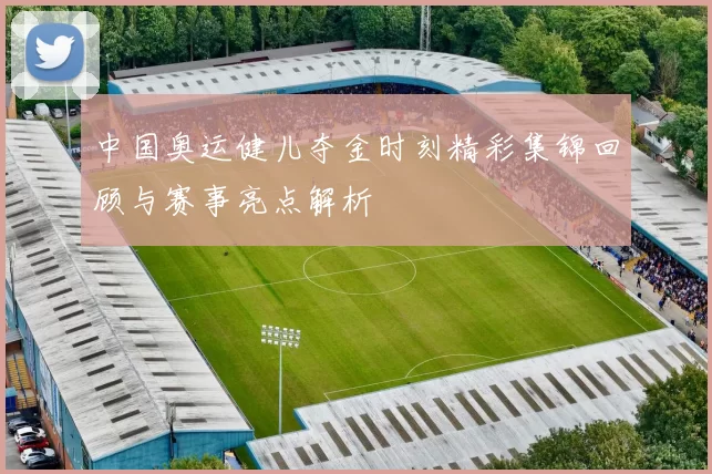 中国奥运健儿夺金时刻精彩集锦回顾与赛事亮点解析