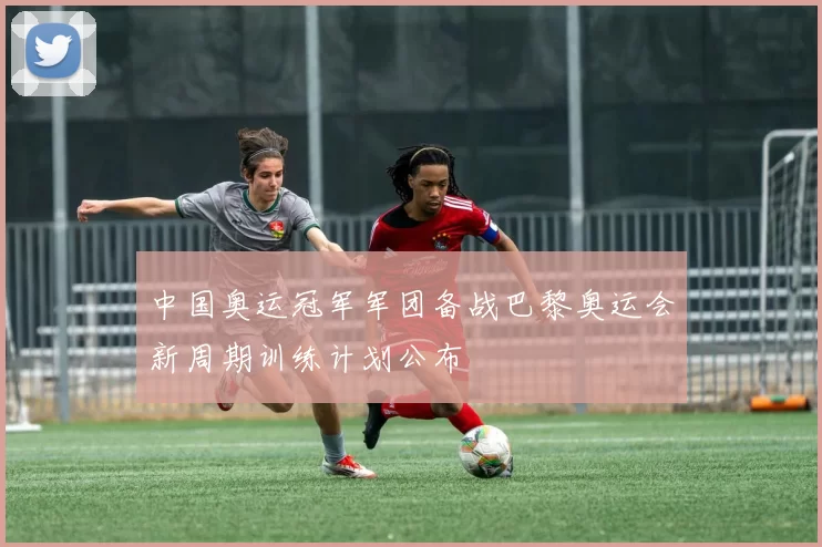 中国奥运冠军军团备战巴黎奥运会新周期训练计划公布