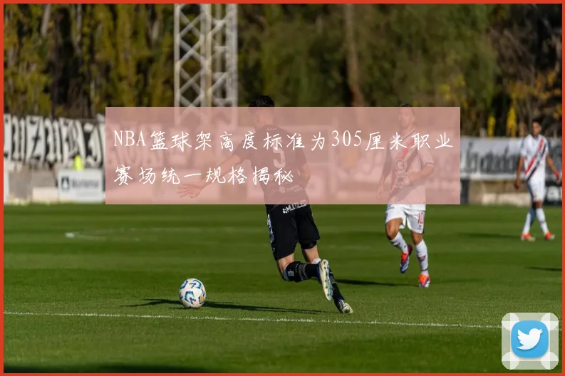NBA篮球架高度标准为305厘米职业赛场统一规格揭秘