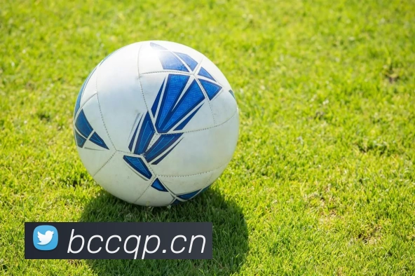 辅助工具 辅助工具